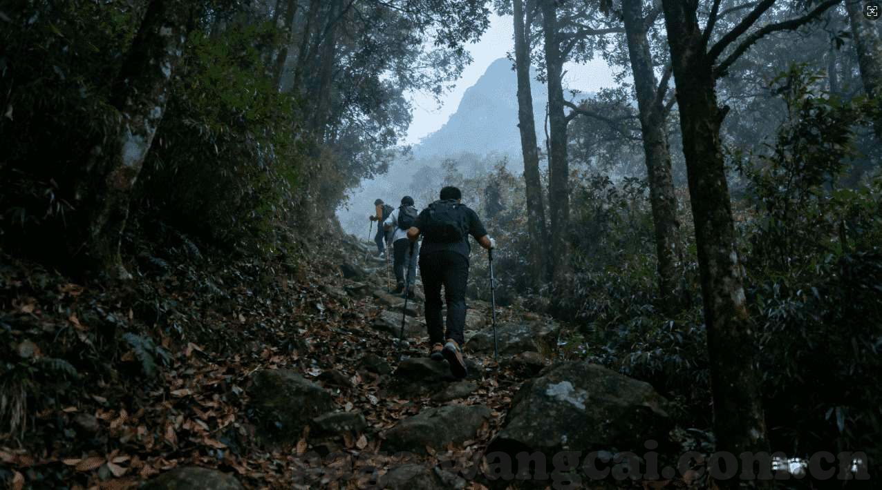 世界杯买球在哪买靠谱-世界杯买球，何处寻找可靠途径